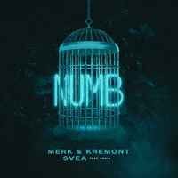 Merk & Kremont & Svea feat. Ernia - Numb