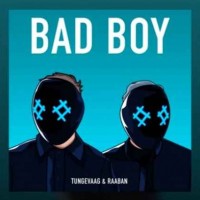 Tungevaag & Raaban feat. Luana Kiara - Bad Boy (2018)