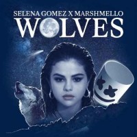 Selena Gomez Ft. Marshmello - Wolves (Get Better Radio Remix)