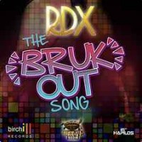 Birchill, RDX - The Bruk Out Song
