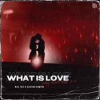 Max Fail, Agatino Romero - What Is Love