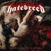 Hatebreed - Idolized And Vilified