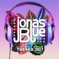 EDX & Jonas Blue feat. Alex Mills - Don't Call It Love (Remix) (2017)