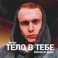 Groove - Тело в тебе (ENDORFIN Remix)