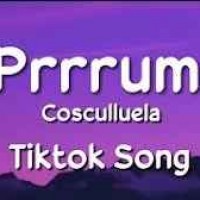 Cosculluela - PRRRUM (Tiktok Song)
