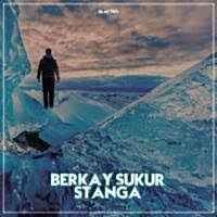 Stanga - Berkay Sukur Remix