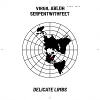 Virgil Abloh - Delicate Limbs