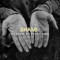 Shami - За спиной лай ты забей слышишь