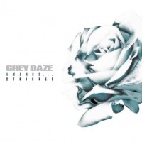Grey Daze - What’s In The Eye