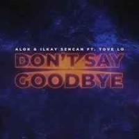 Alok Ilkay Sencan - Don't Say Good Bye