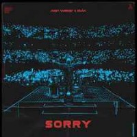 Alan Walker, Isak - Sorry (Albert Vishi Remix)