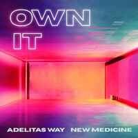 Adelitas Way, New Medicine - Own It