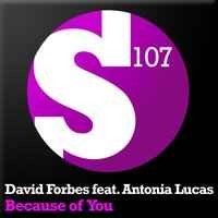 David Forbes, Antonia Lucas - Because Of You (Original Mix)