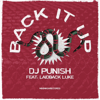Dj Punish, Laidback Luke - Back It Up