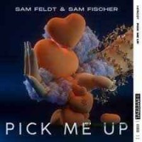 Sam Feldt - Pick Me Up