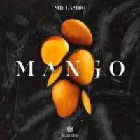Mr Lambo - Mango (slowed & reverb)